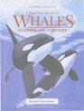 Visual Introduction to Whales Dolphins and Porpoises