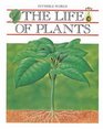 The Life of Plants