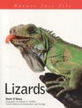 Nature Factfile Lizards