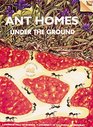 Ant Homes Under Ground