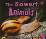 The Slowest Animals