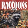 Raccoons for Kids Ringed Tails and Wild Ideas