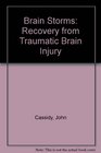 Brain Storms Recovery from Traumatic Brain Injury