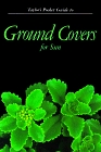 Taylor's Pocket Guide to Ground Covers for Sun