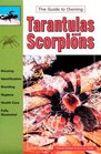 Tarantulas and Scorpions