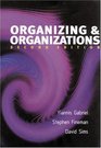 Organizing  Organizations  An Introduction