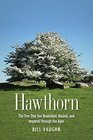 Hawthorn The Tree That Has Nourished Healed and Inspired Through the Ages