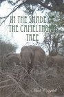 In The Shade Of The Camelthorn Tree