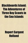 Blackbeards Island The Adventures of Three Boy Scouts in the Sea Islands