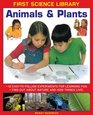 First Science Library Animals  Plants 10 EasyTo Follow Experiments For Learning Fun Find Out About Nature and How Things Live