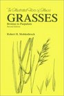 Grasses Bromus to Paspalum