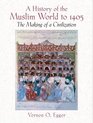 A History of the Muslim World to 1405  The Making of a Civilization
