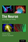 The Neuron Cell and Molecular Biology