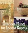 Outdoor Plants for Indoor Rooms