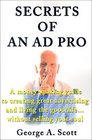 Secrets of an Ad Pro A MoneyMaking Guide to Creating Great Advertising and Living the Good LifeWithout Selling Your Soul