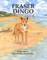 Fraser Dingo