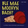 Ble Mae Mochyn Bach