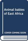 Animal babies of East Africa