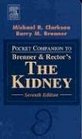 Pocket Companion to Brenner  Rector's The Kidney