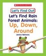 Let's Find Rain Forest Animals  Up Down Around