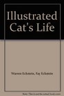 Illustrated Cat's Life