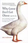 Why Geese Don't Get Obese