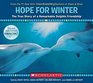 Hope for Winter The True Story of A Remarkable Dolphin Friendship