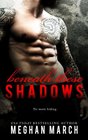 Beneath These Shadows (Volume 6)