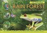 3D Explorer Rain Forest A Journey from the River to the Treetops