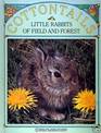 Cottontails: Little Rabbits of Field and Forest (Books for Young Explorers)