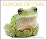 Curious Critters