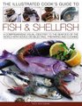 The Illustrated Cook's Guide to Fish  Shellfish A comprehensive visual identifier to the sea