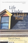 Life Under a Leaky Roof