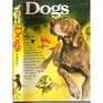 Dogs