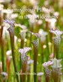 Carnivorous Plants in the Wilderness
