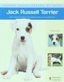 Jack russell terrier Nuevas guias perros de raza