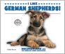 I Like German Shepherds