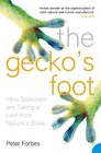 The Gecko's Foot How Scientists Are Taking a Leaf from Nature's Book