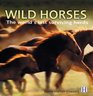 Wild Horses The World's Last Surviving Herds