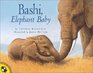 Bashi Elephant Baby