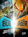 Assassin Bug vs OgreFaced Spider When Cunning Hunters Collide