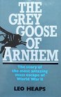 Grey Goose of Arnhem