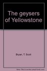 The geysers of Yellowstone