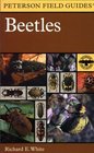 Beetles  A Field Guide to the Beetles of North America