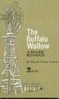 Buffalo Wallow a Prairie Boyhood