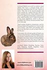 Lionhead Rabbits Lionhead Rabbit Breeding Buying Care Cost Keeping Health Supplies Food Rescue and More Included The Ultimate Guide for Lionhead Rabbits