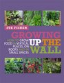 Growing Up the Wall How to Grow Food in Vertical Places on Roofs and in Small Spaces