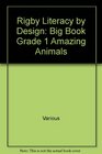 Amazing Animals Big Book