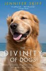 The Divinity of Dogs True Stories of Miracles Inspired by Man's Best Friend