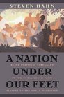 A Nation under Our Feet  Black Political Struggles in the Rural South from Slavery to the Great Migration